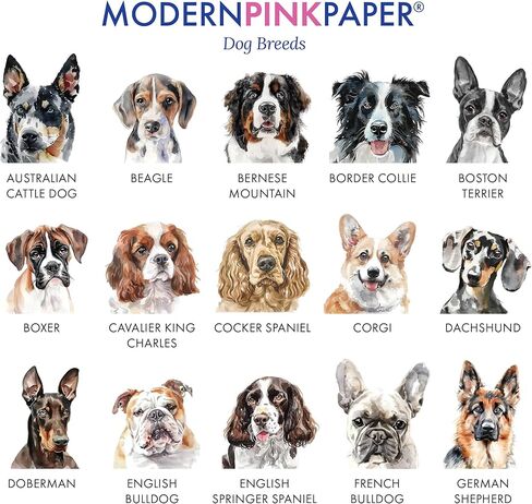 قرطاسية Schnauzer مع مظاريف لكتابة الرسائل ، واختر سلالة الكلب الخاص بك ، وبطاقات الملاحظة المخصصة المسطحة مع الكلاب ، والبطاقة الحيوانية للهدايا ، والكلاب الثابتة ، واختيارك للألوان والكمية in Kuwait