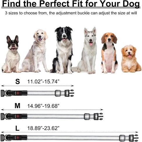 Light Up Dog Collar, Multicolor LED Dog Collar with 7 Modes, USB-C Rechargeable Reflective Glow Collar, Waterproof & Adjustable Design with Battery Indicator for Safe Night Walks(Medium) in Saudi Arabia