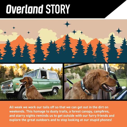 Wolfgang Heavy Duty, Adjustable Dog Collar with Quick Release Nylon Buckle for Walking & Training, Overland Print, Medium in Kuwait