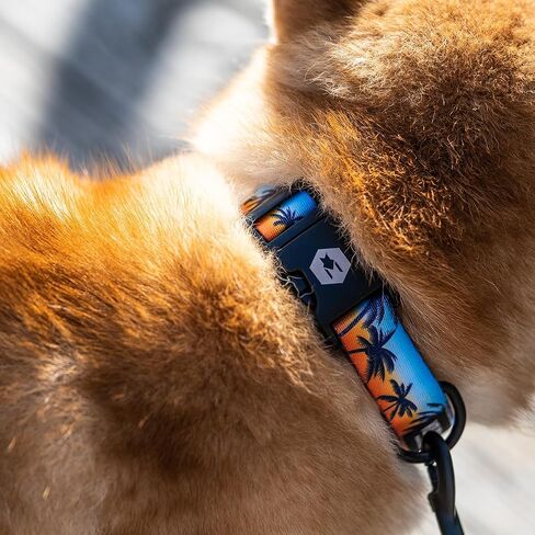 Wolfgang Heavy Duty, Adjustable Dog Collar with Quick Release Nylon Buckle for Walking & Training, Overland Print, Medium in Kuwait