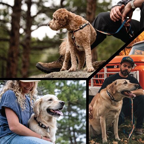 Wolfgang Heavy Duty, Adjustable Dog Collar with Quick Release Nylon Buckle for Walking & Training, Overland Print, Medium in Kuwait