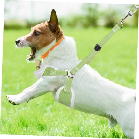 Pet Harness Lightweight Comfortable Dog Leash Dog for Cats Puppy Leash Breathable Material in Saudi Arabia