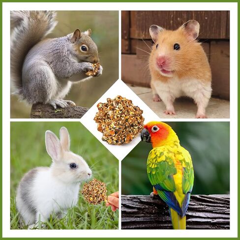 ألعاب Abizoo Natural Pinecone مضغ مع عباد الشمس الصالحة للأكل والخضار - إثراء المغلفة بالسكر المغلفة للببغاوات Cockatiels Conurs Budgies Immune & Accestive Safe Bird Toy (2pcs) in Kuwait