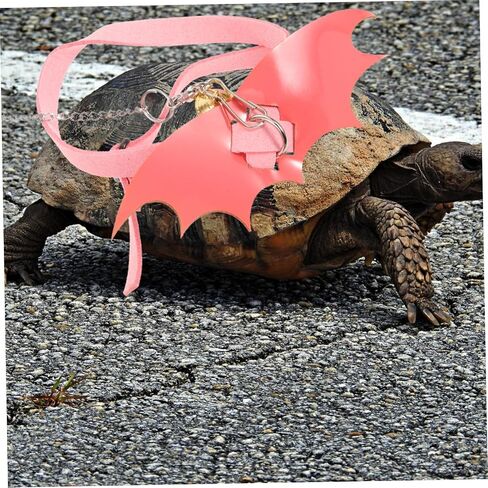 Galpada Turtle Harness Leash للسلحفاة الصغيرة الحبل المشي في الهواء الطلق قابل للتعديل لمكافحة الحيوانات الأليفة وتدريب سترة المقود السلحفاة المحمولة لسلاحف العشب in Kuwait