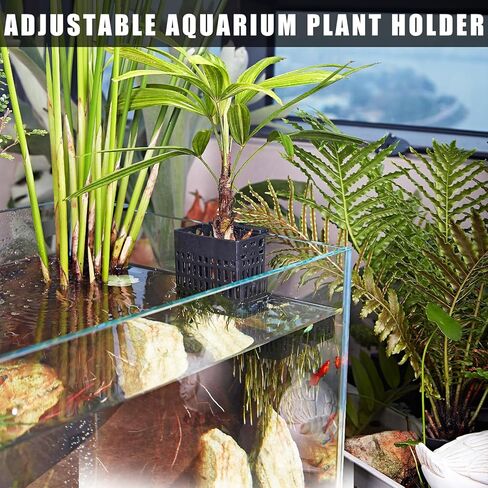 2pcs Upgraded Adjustable Aquarium Plant Holder，Fish Tank Plants Holder,Fish Tank Aquaponics Plant Cultivation and Aquarium Landscape Decoration with Hooks and Suction Cup(Black) in Saudi Arabia
