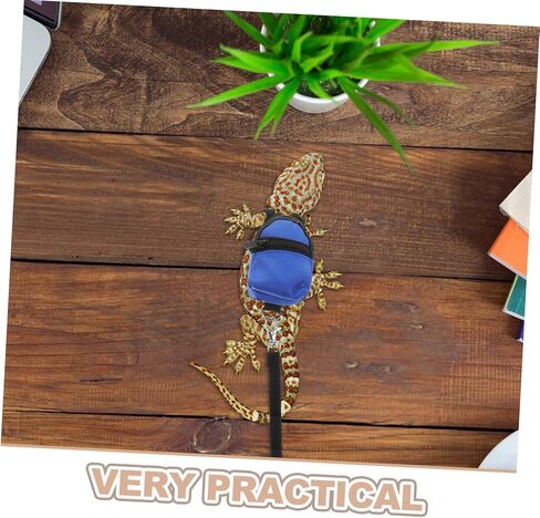 حقيبة الظهر التنين الملتحة مع تسخير سحلية محمولة قابلة للتعديل للزواحف الصغيرة للمشي في الهواء الطلق وصيانتها وتناسب آمن in Kuwait