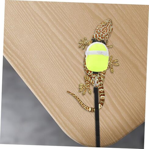 Toyvian Adjustable Leash for Bearded Dragon Reptiles Lightweight Portable Pet Gear for Outdoor Adventures and Comfortable Walking in Saudi Arabia
