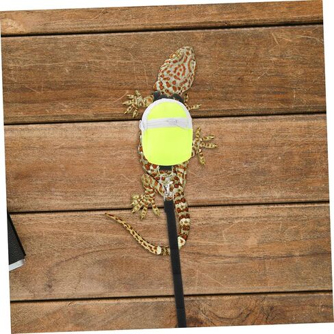 Toyvian Adjustable Leash for Bearded Dragon Reptiles Lightweight Portable Pet Gear for Outdoor Adventures and Comfortable Walking in Saudi Arabia