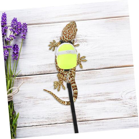 Toyvian Adjustable Leash for Bearded Dragon Reptiles Lightweight Portable Pet Gear for Outdoor Adventures and Comfortable Walking in Saudi Arabia