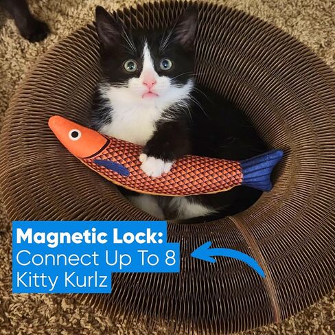 Kitty Kurlz - Kitty Kurlz Magnetic Toy و Scratcher Cardboard Scratcher - مسار كرة قابلة للطي مع Bell - حلقة صديقة للبيئة متينة للعب ، مطاردة ومخدش in Kuwait