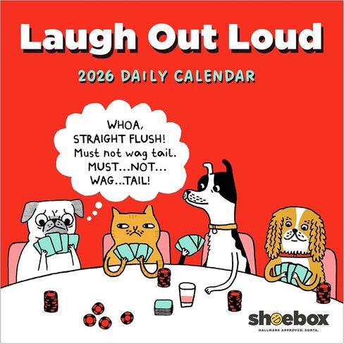 TF Publishing 2026 Shoebox Daily Desktop Calendar - Home and Office Organization - Small Desk Calendar 2026 with Full-Color Tear-Off Pages and Standing Cardboard Easel - 5.25in x 5.25in in Saudi Arabia