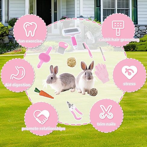 16 PCS Bunny Grooming Kit ، صندوق القمامة الأرانب ، ألعاب الأرنب ، البطانيات مع لوازم التنظيف ، وقعادة مرحاض للحيوانات الأليفة مع وعاء قفص للحيوانات الأليفة المعلقة مناسبة للأرنب ، خنزير غينيا (وردي) (وردي (16 مساءً)) in Kuwait