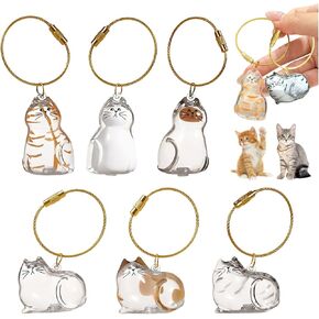 6 PCS CAT CAT FUR STEPSAKE CEYYRING ، 1.7in PET Memorial Keyring ، Fur Smethake Capsule Pendant Cute ، Cats على شكل قطط ، هدايا تذكارية للحيوانات الأليفة لمحبي الحيوانات الأليفة التذكارية و Tombstones in Kuwait