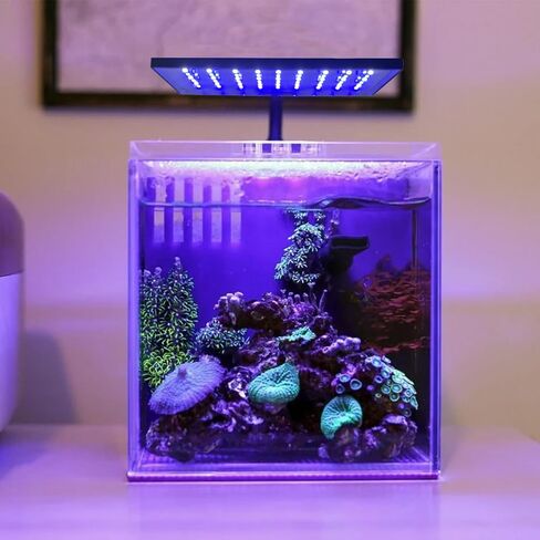 Clip-on Aquarium Light 8w (3 Timers, 3 Modes, 10 Dimming, Split Power) for Coral, Reef, Saltwater Fish, Algae Scrubber Nano/Mini/Pico/Refugium Tank,1-10Gallon(5-12in) Aquarium in Saudi Arabia