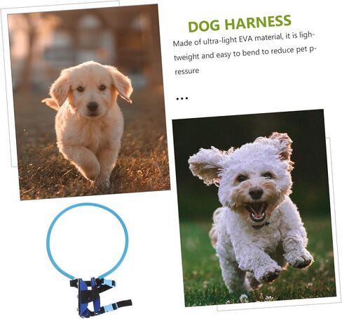 Kisangel Blind Pet Therness Circle Collising Ring For Dogn Dogs من السهل ارتداءها ، XS 11.02 بوصة قطرها in Saudi Arabia