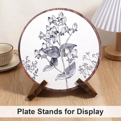 Now Playing Vinyl Record Stand, Single Wood Record Stand Vintage Vinyl Records Display 1 Second Assemble Now Playing Records Player Accessories Wooden Album Holders Plate Holders for Display, Brown in Saudi Arabia