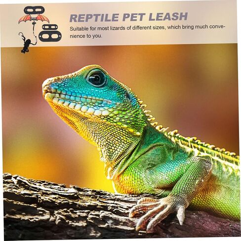 Ganazono 1set مقود الزواحف في الهواء الطلق لـ Lizards Liveweight Gecko Leash للمشي في الهواء الطلق مستلزمات الحيوانات الأليفة الأنيقة للزواحف سهلة الاستخدام والراحة in Kuwait