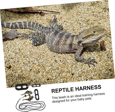 Leopard Gecko Leash Lizard Traction Rope Bearded Dragon Harness Reptiles Training Harness in Saudi Arabia