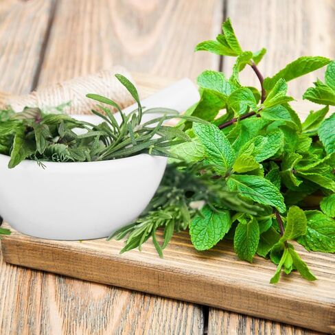 Basil Sage & Mint Type Fragrance Oil (Our Version of The Brand Name) (4 oz Bottle) for Candle Making, Soap Making, Tart Making, Room Sprays, Lotions, Car Fresheners, Slime, Bath Bombs, Warmers in Saudi Arabia