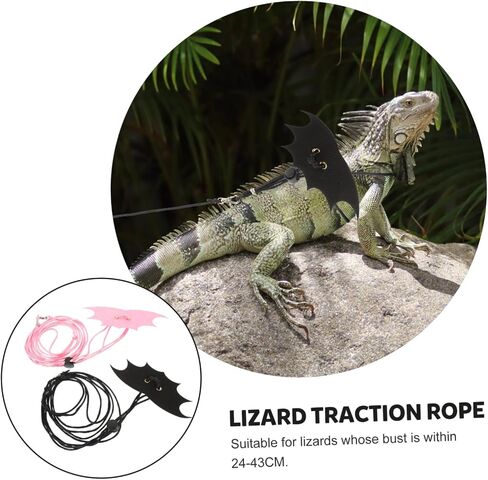 UPKOCH 2Sets Sturdy Reptiles Traction Rope for Outdoor Use Lizard Harness for Small Pets Squirrel and Reptiles Durable and Stylish Design in Saudi Arabia