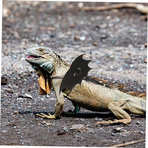UPKOCH 2Sets Sturdy Reptiles Traction Rope for Outdoor Use Lizard Harness for Small Pets Squirrel and Reptiles Durable and Stylish Design in Saudi Arabia