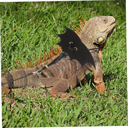 UPKOCH 2Sets Sturdy Reptiles Traction Rope for Outdoor Use Lizard Harness for Small Pets Squirrel and Reptiles Durable and Stylish Design in Saudi Arabia