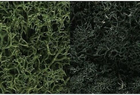 Woodland Scenics Dark Green Mix Lichen in Saudi Arabia