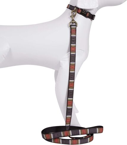 Pendleton National Park Hiker Hiker Dog Leash ، Acadia in Kuwait
