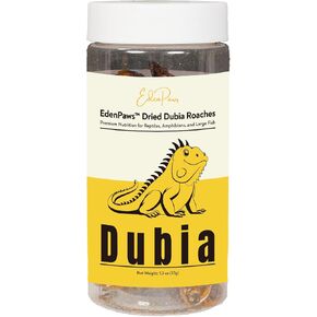 EDENPAWS® Dried Dubia Roaches – High Protein, 100% Natural Feeder Insects for Reptiles, Amphibians, and Large Fish – 1.3 oz (37g) in Saudi Arabia