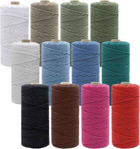 12 لفات الطبيعية macrame الحبل 3 مم × 1308 ياردة ، خيوط قطنية طبيعية ، سلسلة macrame ملونة ، حبل قطني للحياكة الحرف DIY ، شماعات النبات ، ديكور (اللون الكلاسيكي 3 مم × 1308 ياردة) in Kuwait