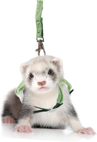 VICASKY Dinosaur PET Harness Random Color Bell Wear-Resistant Ferret Leash Harness Cartoon Design for Small Pets for Walking and Outdoor Use in Saudi Arabia