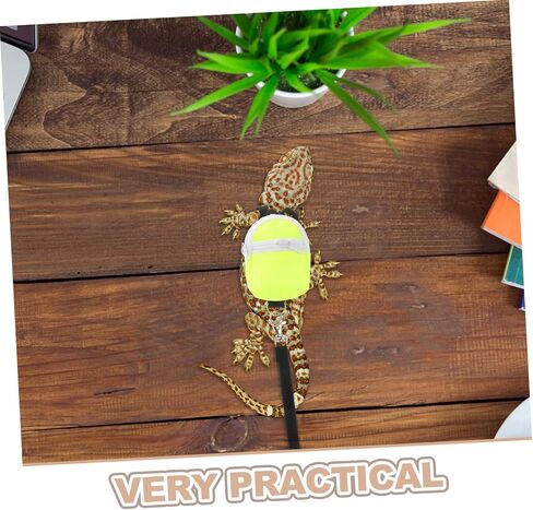 Merryhapapy Pet Lizard Backpack Leash Small Pet Leash الزواحف في الهواء الطلق لتسخير التنين الملتحي in Kuwait