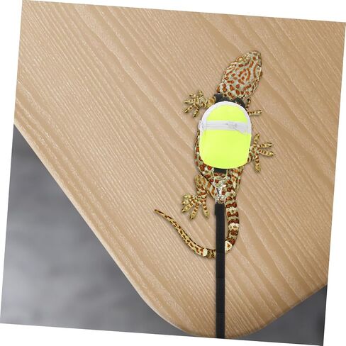Merryhapapy Pet Lizard Backpack Leash Small Pet Leash الزواحف في الهواء الطلق لتسخير التنين الملتحي in Kuwait