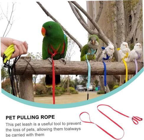 1Pc Lightweight Bird Pulling Rope Lizard Leash for Outdoor Activities for Hamsters Turtles Reptiles Convenient for Walking and Training in Saudi Arabia