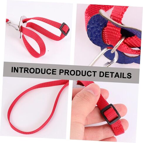 1Pc Lightweight Bird Pulling Rope Lizard Leash for Outdoor Activities for Hamsters Turtles Reptiles Convenient for Walking and Training in Saudi Arabia