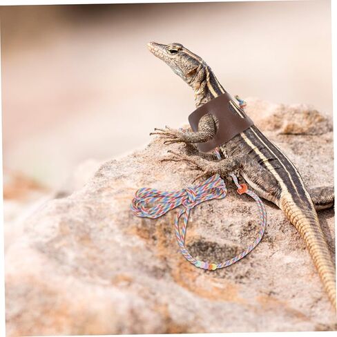VANZACK 1SET ملتحي التنين المقود تسخير الزواحف مستلزمات الحيوانات الأليفة في الهواء الطلق GECKO المقود الخفيف تسخير مواد سهلة التنظيف in Kuwait