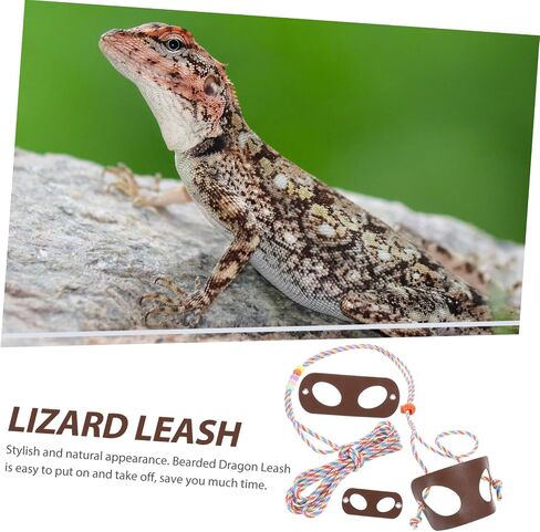 VANZACK 1SET ملتحي التنين المقود تسخير الزواحف مستلزمات الحيوانات الأليفة في الهواء الطلق GECKO المقود الخفيف تسخير مواد سهلة التنظيف in Kuwait