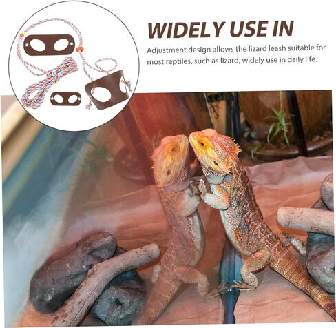 VANZACK 1SET ملتحي التنين المقود تسخير الزواحف مستلزمات الحيوانات الأليفة في الهواء الطلق GECKO المقود الخفيف تسخير مواد سهلة التنظيف in Kuwait