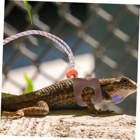 VANZACK 1SET ملتحي التنين المقود تسخير الزواحف مستلزمات الحيوانات الأليفة في الهواء الطلق GECKO المقود الخفيف تسخير مواد سهلة التنظيف in Kuwait