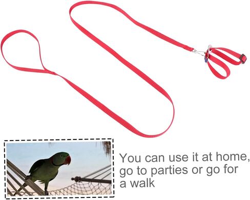 Hemoton 1pc Bird سحب حبل لسلاحف Hamsters و Pet Lizards حبل Tow للأنشطة الخارجية Leash للمشي والمشي لمسافات طويلة in Kuwait