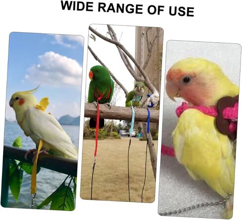 Hemoton 1pc Bird سحب حبل لسلاحف Hamsters و Pet Lizards حبل Tow للأنشطة الخارجية Leash للمشي والمشي لمسافات طويلة in Kuwait