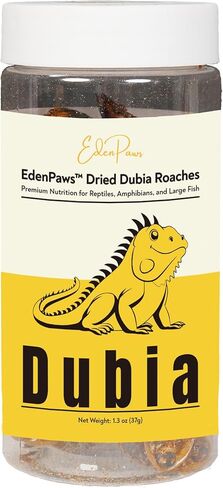 صراخ Dubia Driding Dried -Edenpaws - البروتين العالي ، وحشرات التغذية الطبيعية بنسبة 100 ٪ للزواحف ، والبرمائيات ، والأسماك الكبيرة - 1.3 أوقية (37 جم) in Saudi Arabia