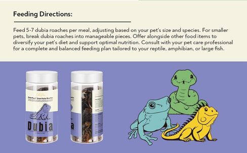 صراخ Dubia Driding Dried -Edenpaws - البروتين العالي ، وحشرات التغذية الطبيعية بنسبة 100 ٪ للزواحف ، والبرمائيات ، والأسماك الكبيرة - 1.3 أوقية (37 جم) in Saudi Arabia