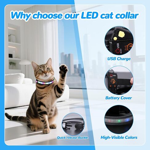 Cat Collar,Lighted Cat Collars for Night,Rechargeable Waterproof LED Cat Collar with Remote, Breakaway LED Collars,Dog Lights for Night Walking in Saudi Arabia