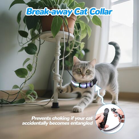 Cat Collar,Lighted Cat Collars for Night,Rechargeable Waterproof LED Cat Collar with Remote, Breakaway LED Collars,Dog Lights for Night Walking in Saudi Arabia