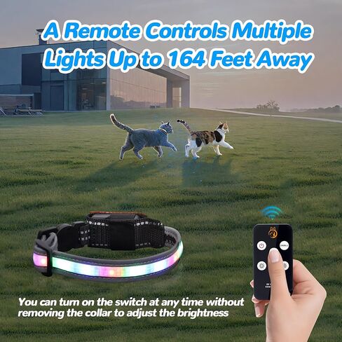 Cat Collar,Lighted Cat Collars for Night,Rechargeable Waterproof LED Cat Collar with Remote, Breakaway LED Collars,Dog Lights for Night Walking in Saudi Arabia