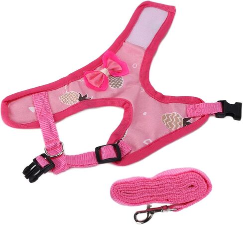 Chicken Leash, Duck Harness Breathable Mesh Training Harness and Leas Chicken and Leash Adjustable Strap Outdoor Training Traction Rope for Duck Goose Hen Small (#4) in Saudi Arabia