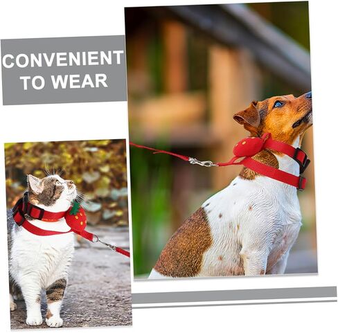 UPKOCH 4PCS PET LEASH مجموعة الكلاب سلسلة CAT تسخير الأرنب المقود الصغير تسخير تسخير قابلة للتعديل مقاومة للارتداء للداخلية في الهواء الطلق في الهواء الطلق in Kuwait