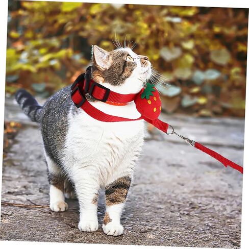 UPKOCH 4PCS PET LEASH مجموعة الكلاب سلسلة CAT تسخير الأرنب المقود الصغير تسخير تسخير قابلة للتعديل مقاومة للارتداء للداخلية في الهواء الطلق في الهواء الطلق in Kuwait