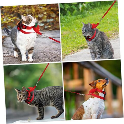 UPKOCH 4PCS PET LEASH مجموعة الكلاب سلسلة CAT تسخير الأرنب المقود الصغير تسخير تسخير قابلة للتعديل مقاومة للارتداء للداخلية في الهواء الطلق في الهواء الطلق in Kuwait